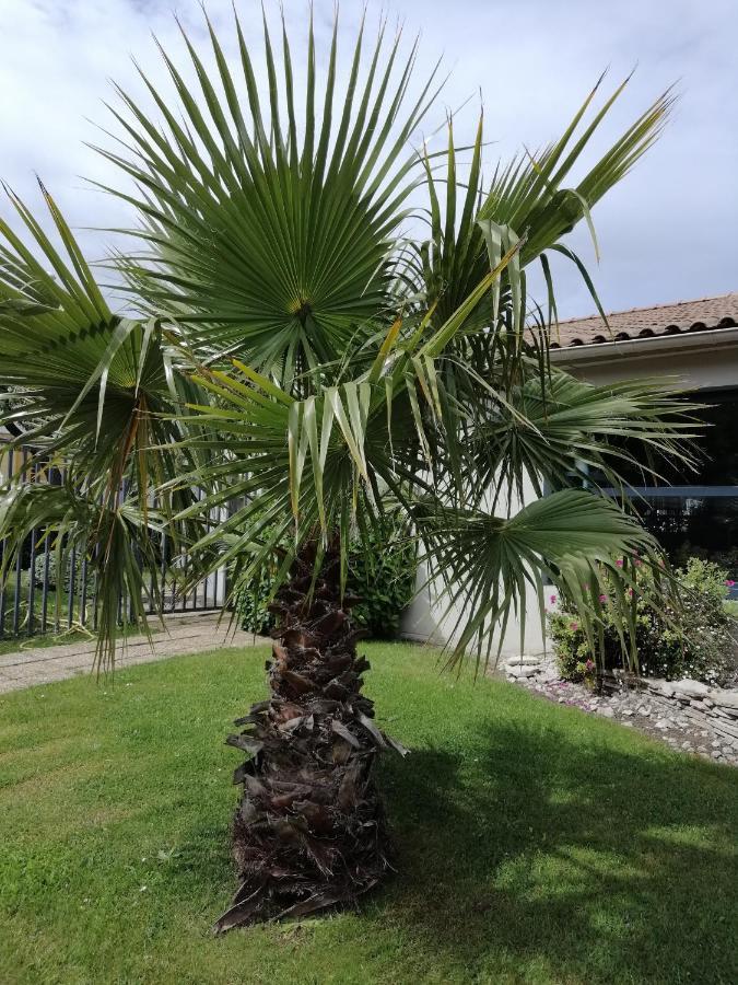 Hotel Kyriad Cap Sud Avinyon Dış mekan fotoğraf